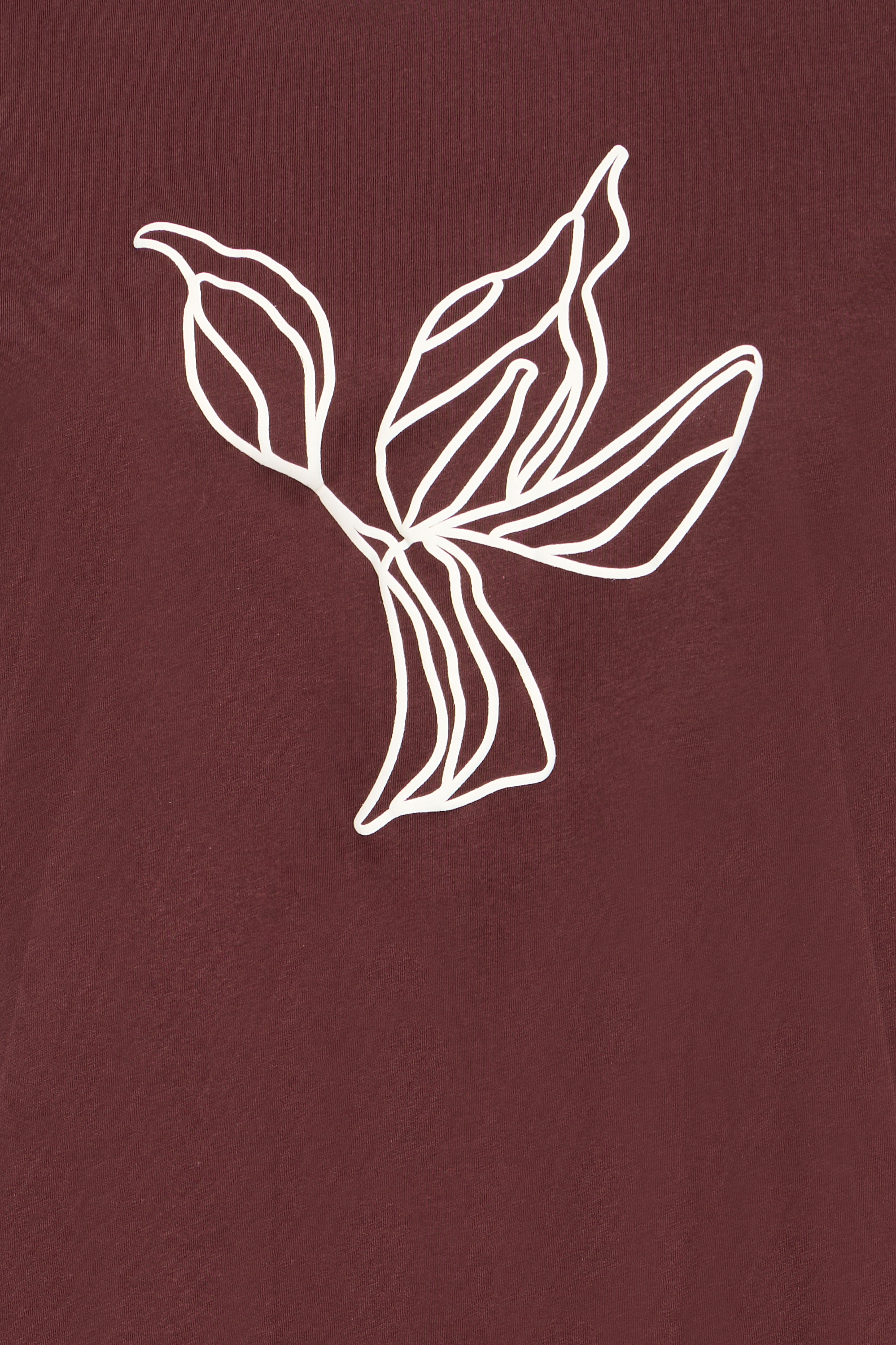 FRARIELLA T-shirt PACK DETAIL 20617158-900003849