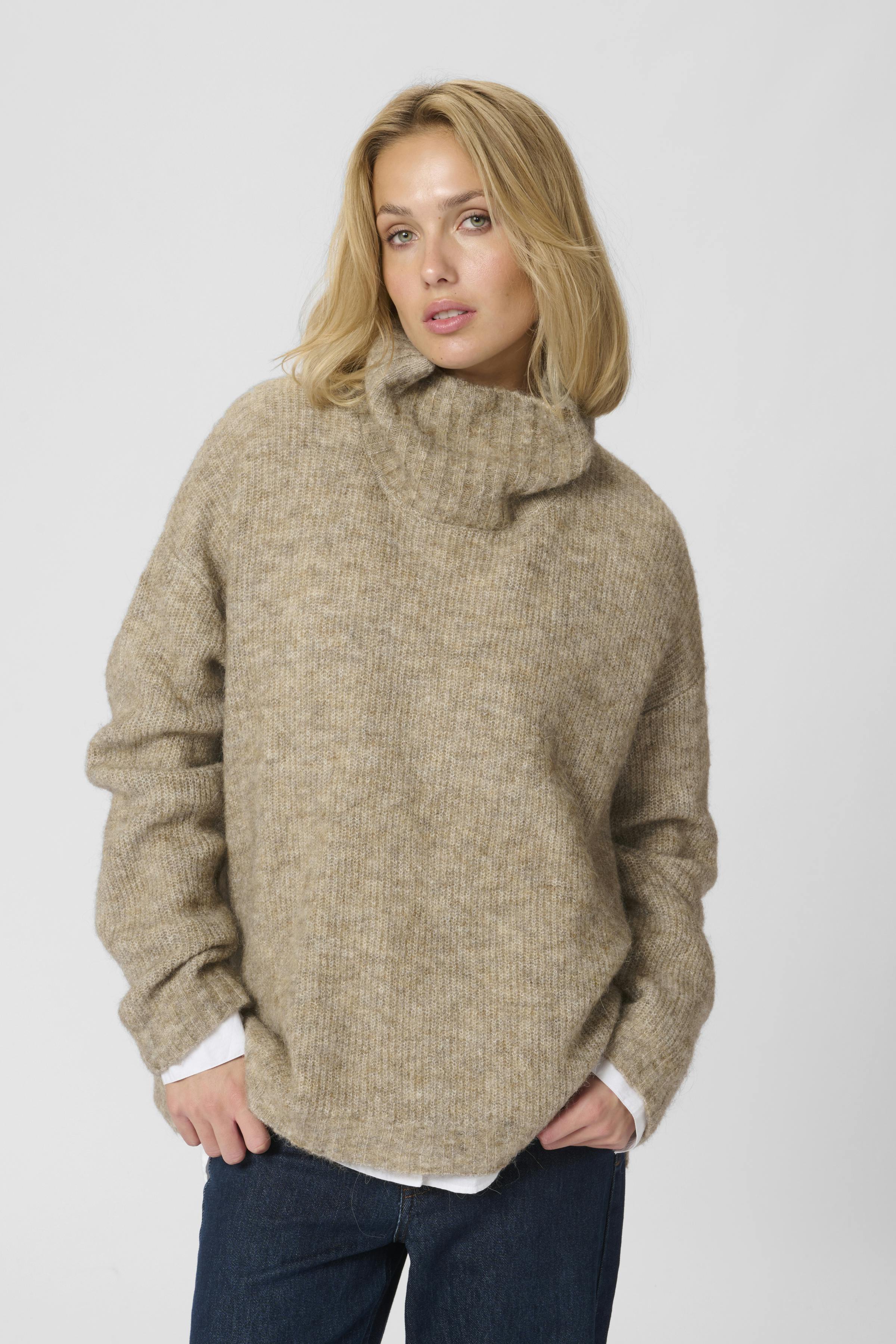 11 THE KNIT ROLLNECK LOOKBOOK FRONT 10703605-1710091