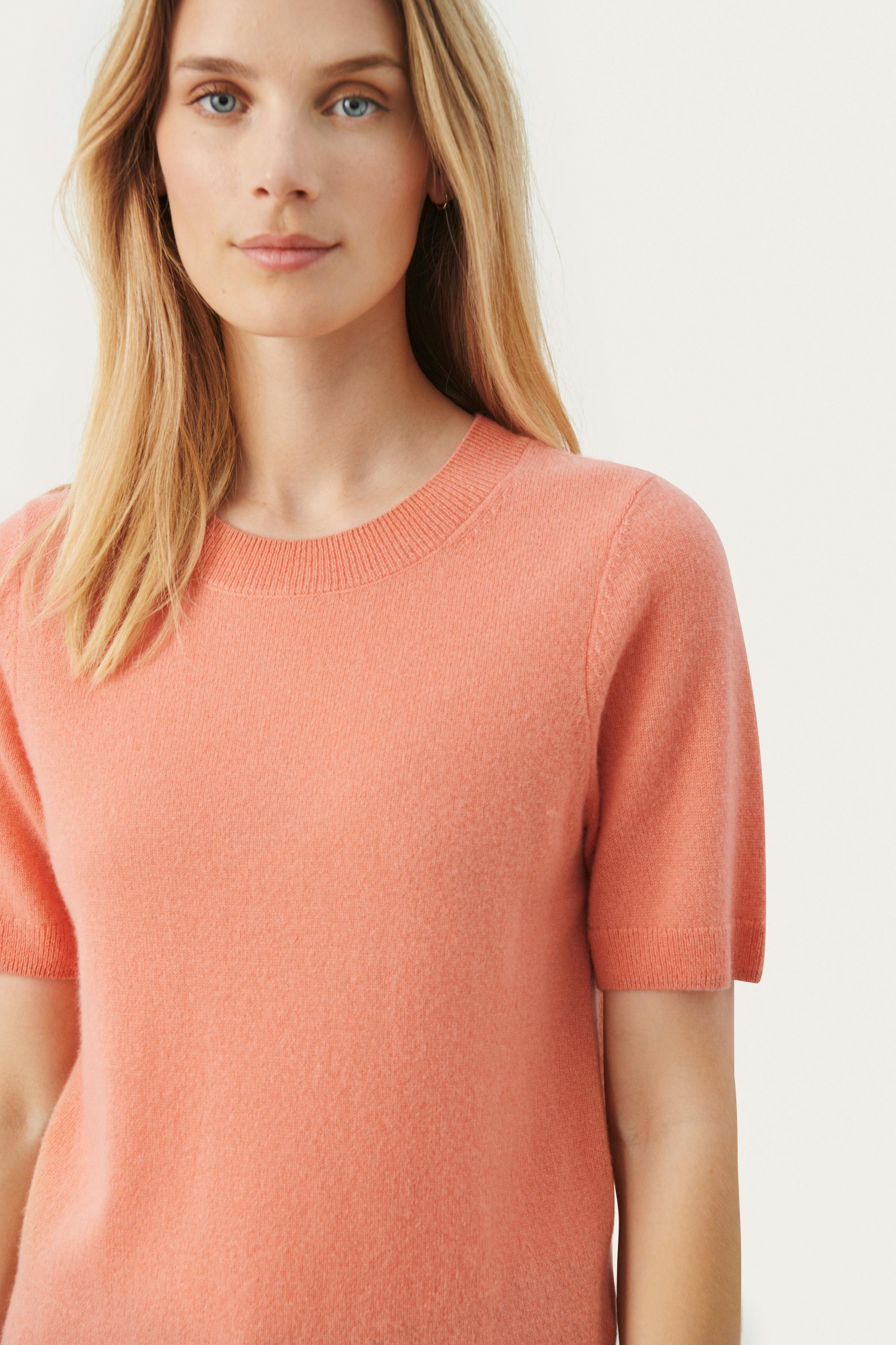 EverlottaPW Short-sleeved cashmere sweater LOOKBOOK DETAIL 30307338-161532