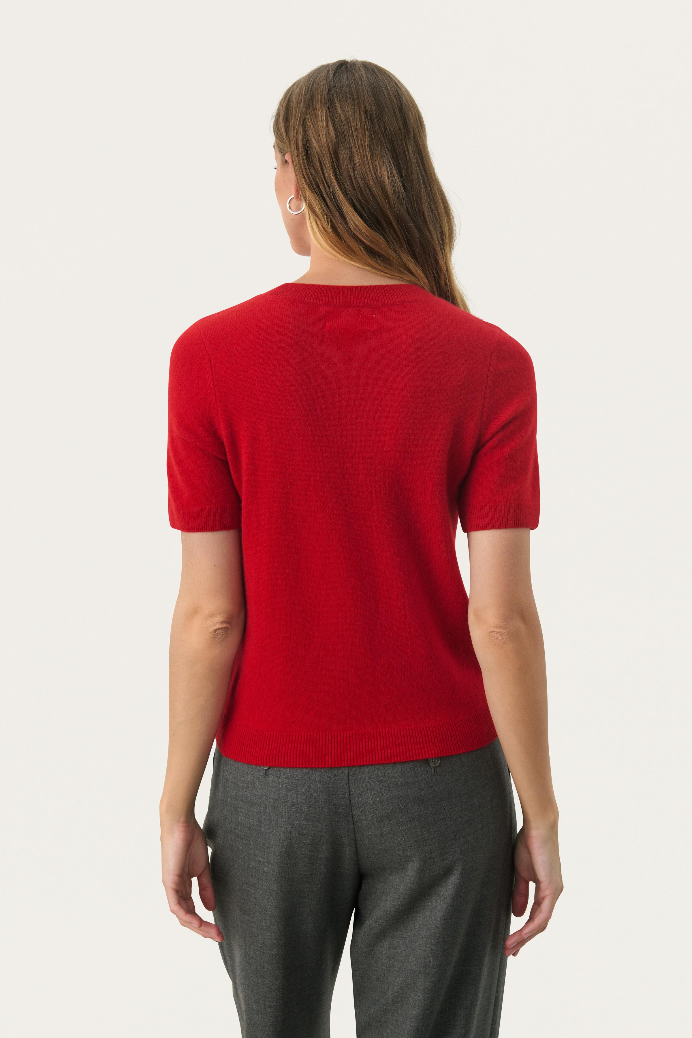 EverlottaPW Short-sleeved cashmere sweater LOOKBOOK FRONT 30307338-181657