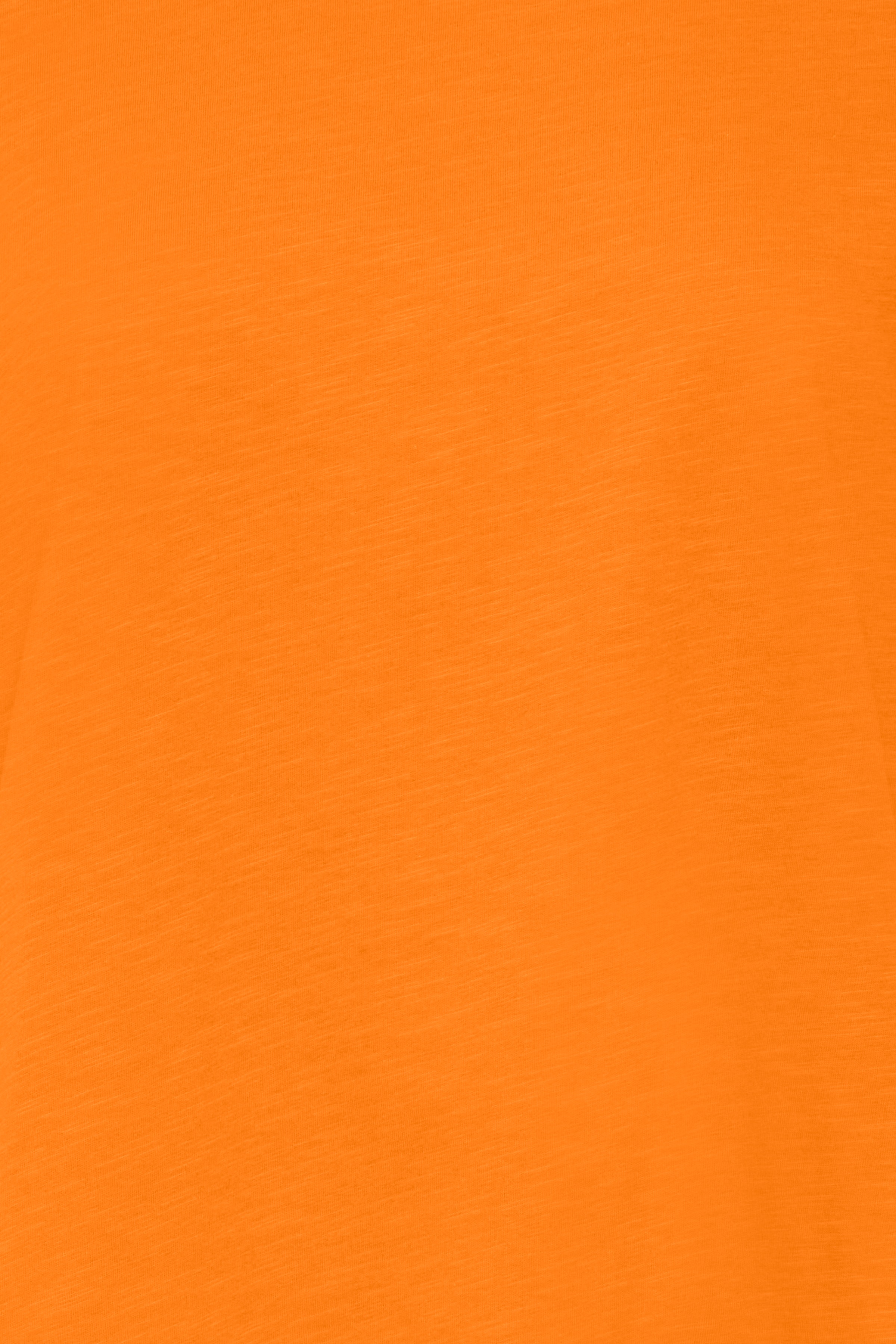 PZBRIT T-shirt PACK DETAIL 50207421-161358