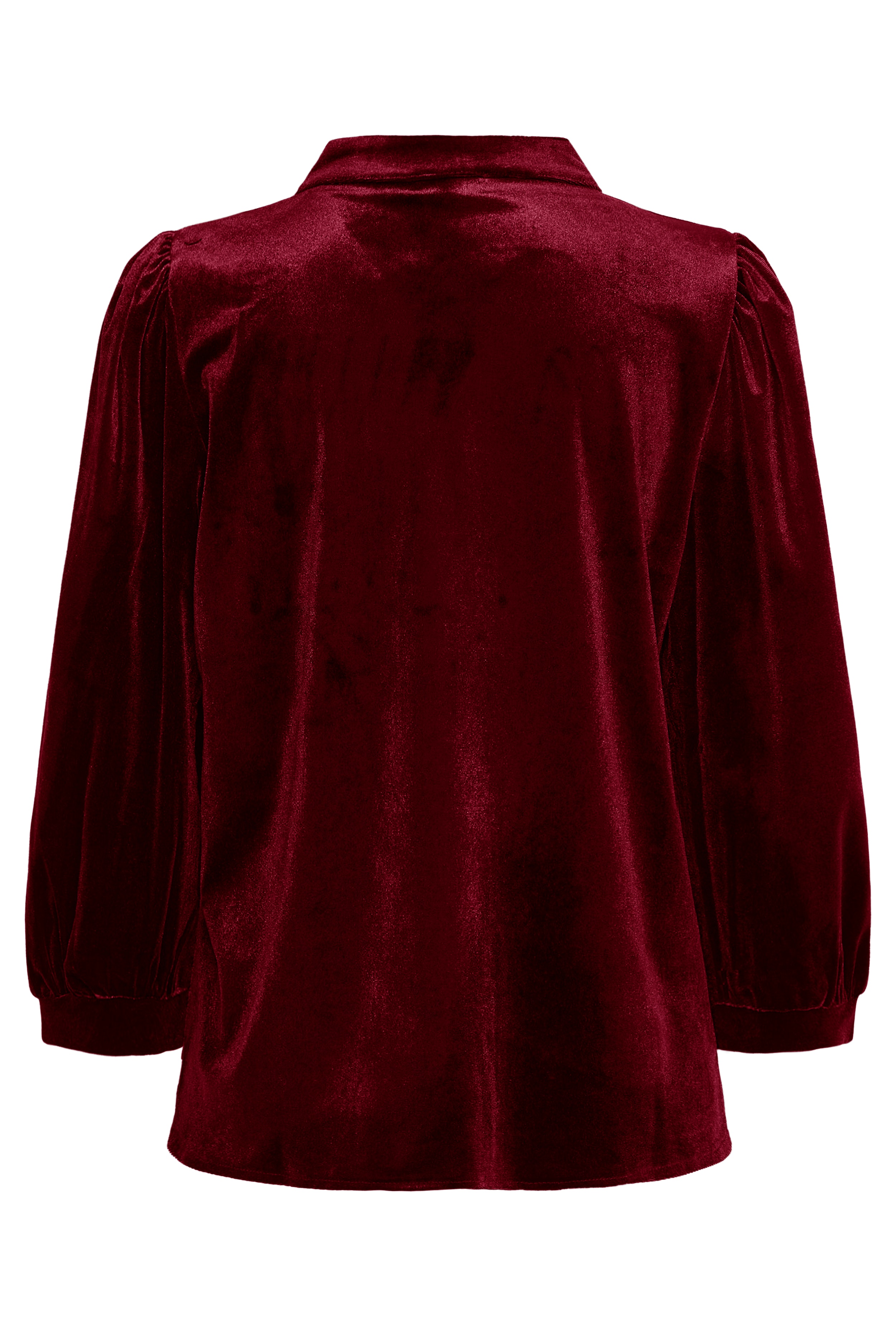 SBVELVETTA Bluse PACK BACK 22100855-191535