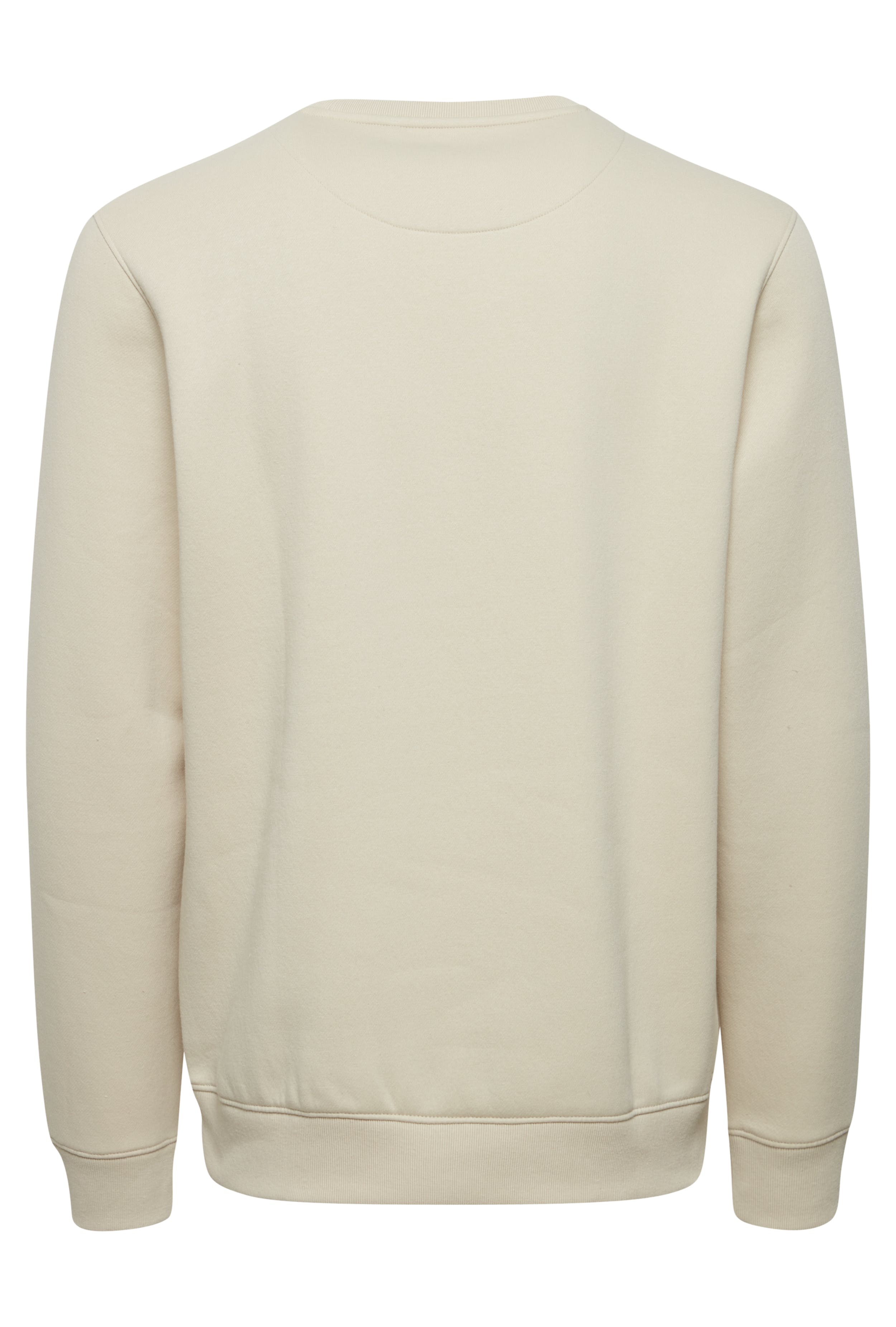 Sweatshirt PACK BACK 20716044-141107