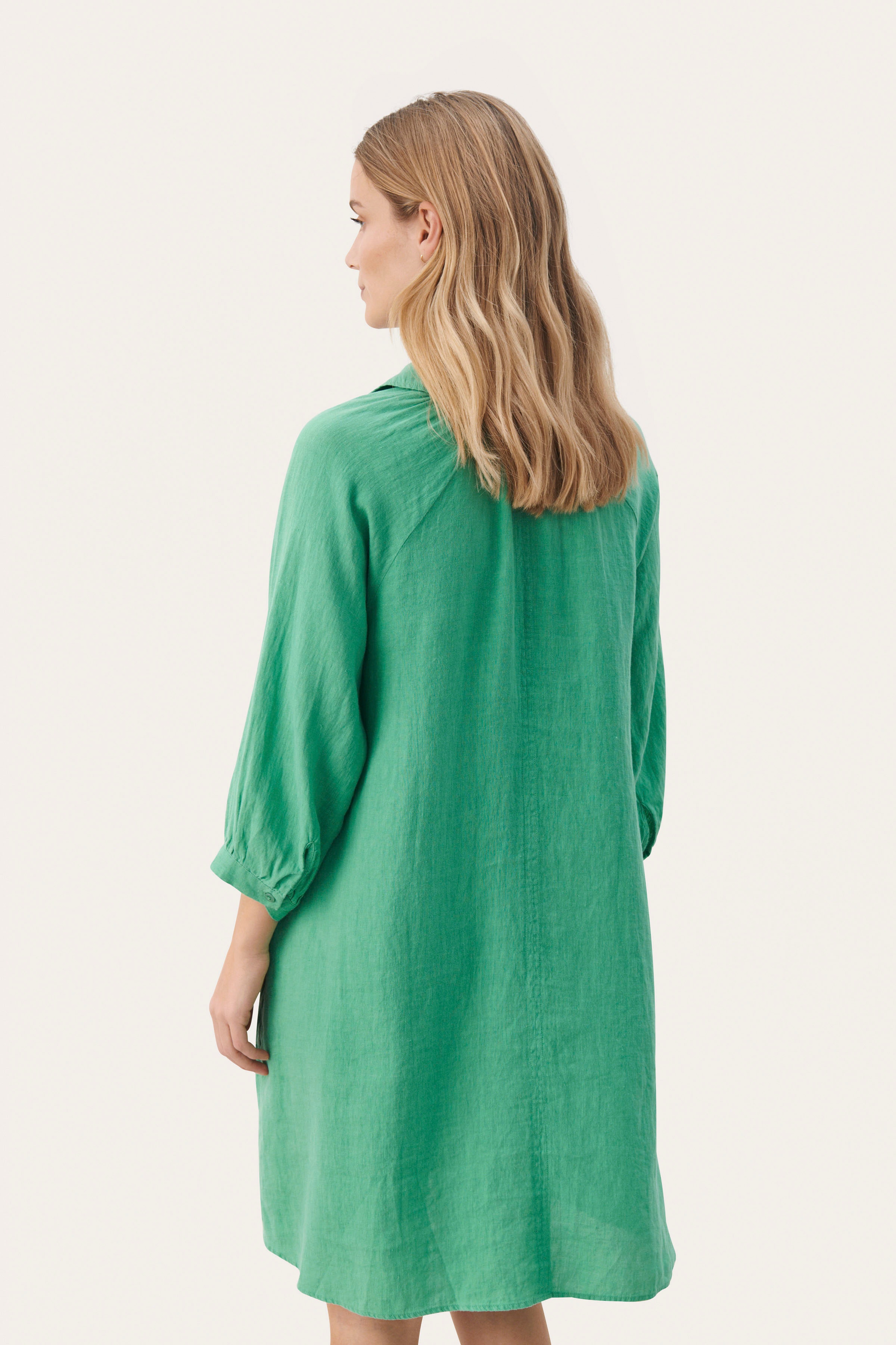 EronaPW Kleid LOOKBOOK BACK 30308405-165820