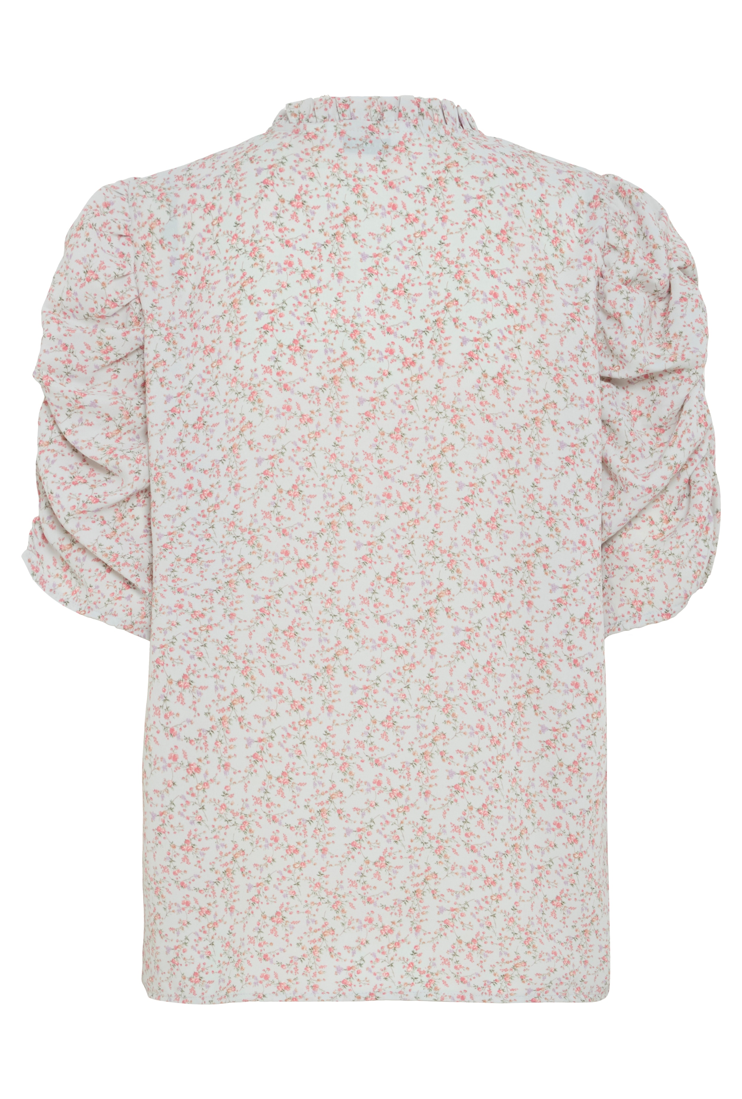 BXITALLON Shirt PACK BACK 20816149-201957