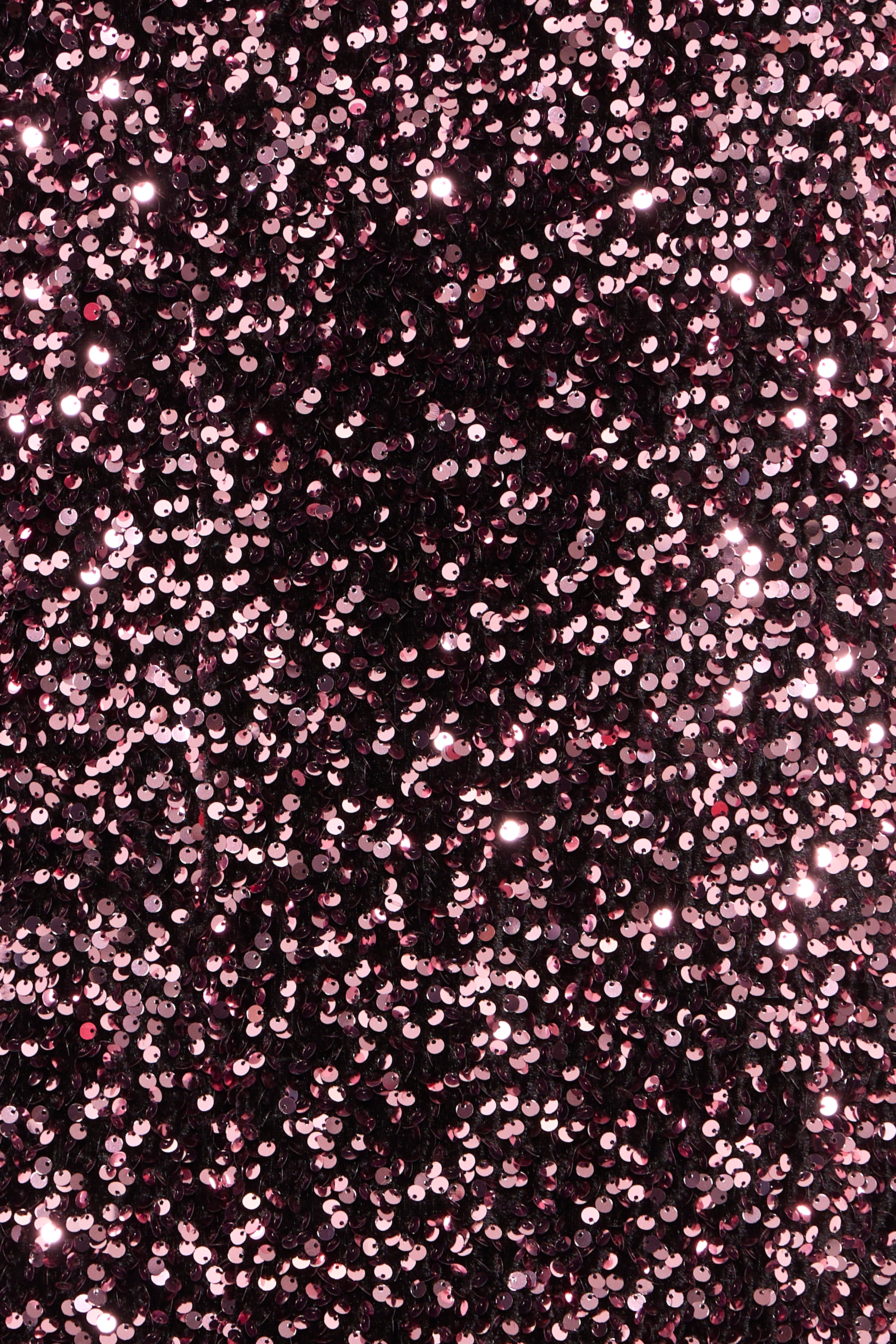 PZLOLLIE Kjole PACK DETAIL 50210157-191718