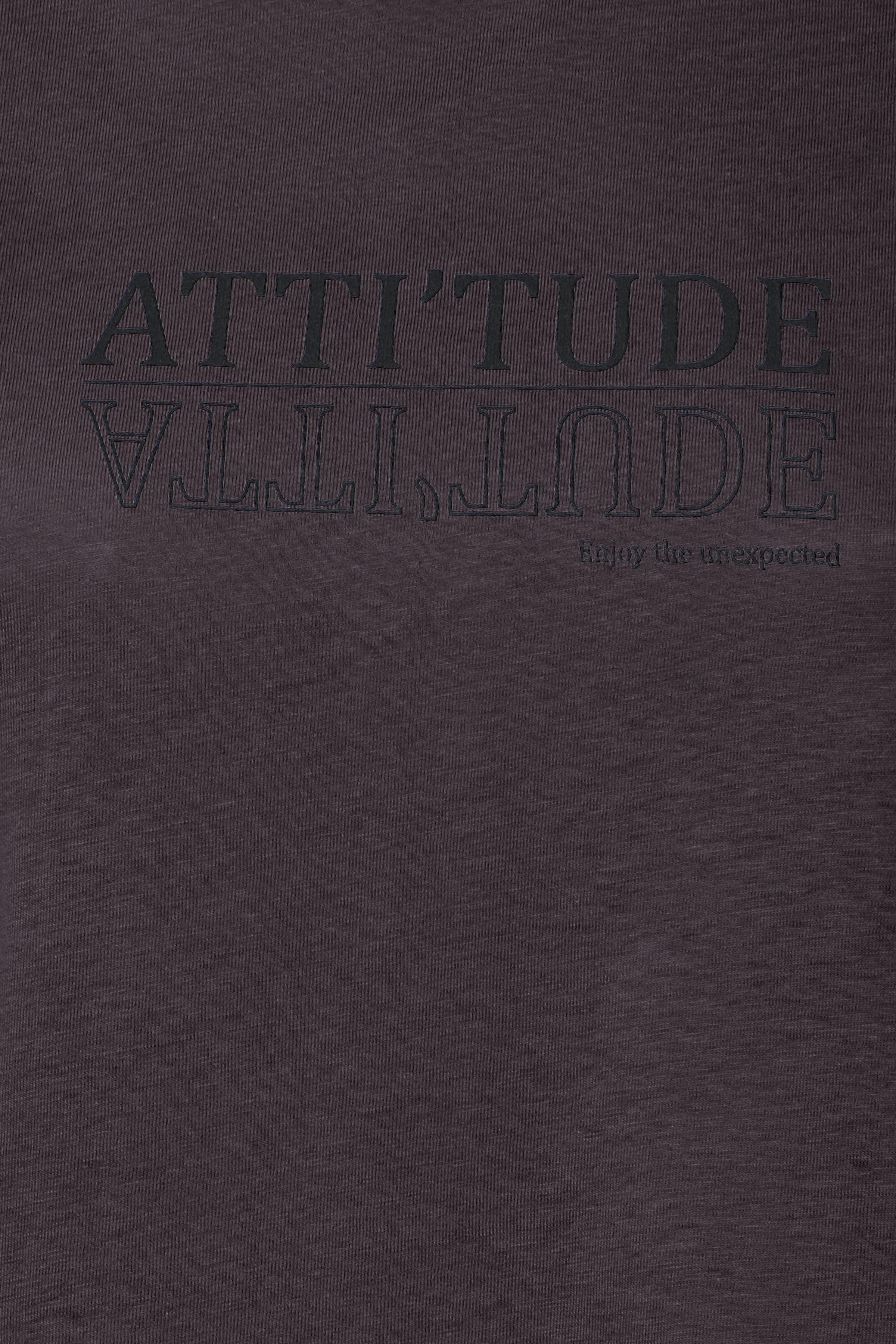 FRATTITUDE T-shirt PACK DETAIL 20614664-200111