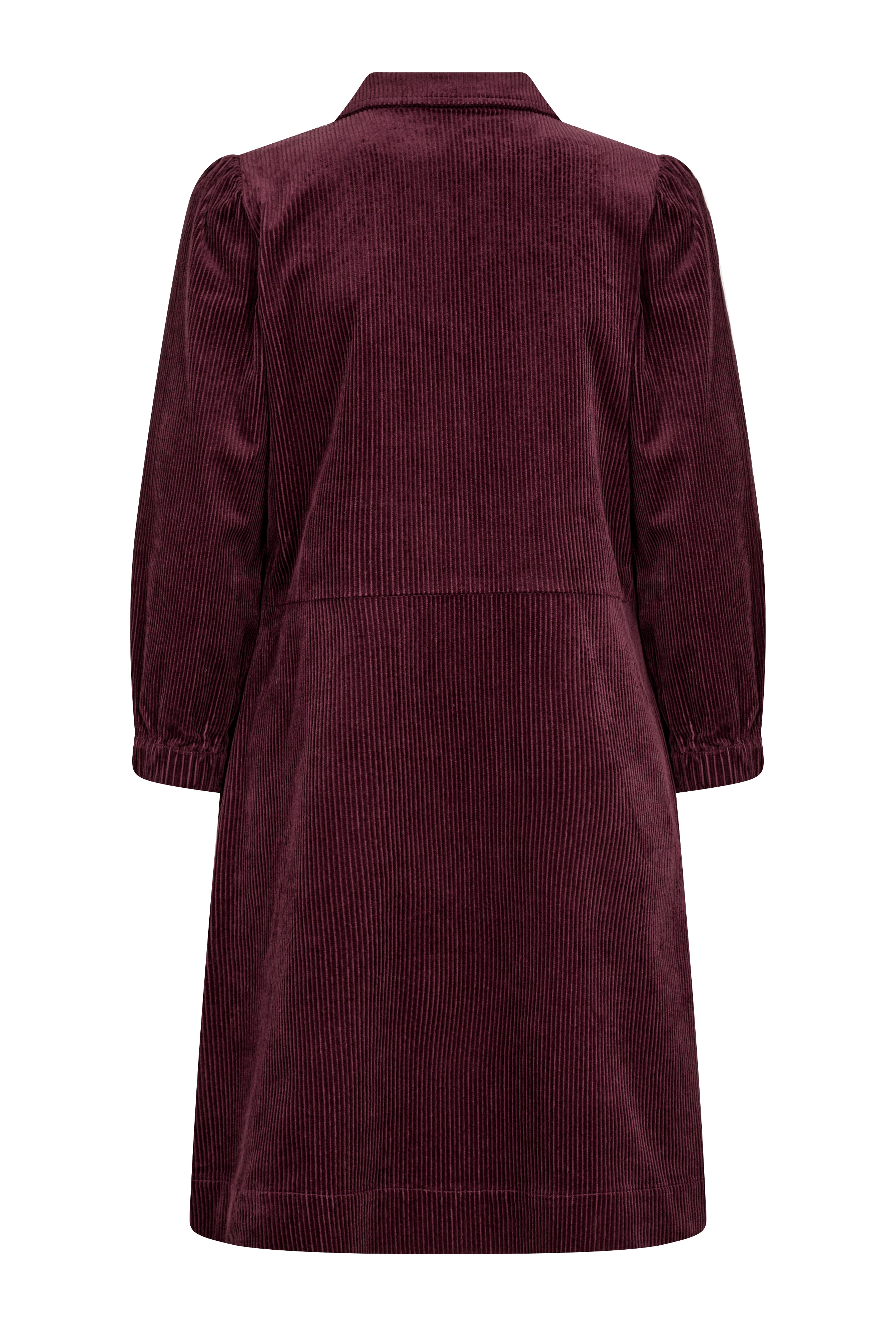 EyvorPW Kleid PACK BACK 30308117-192118