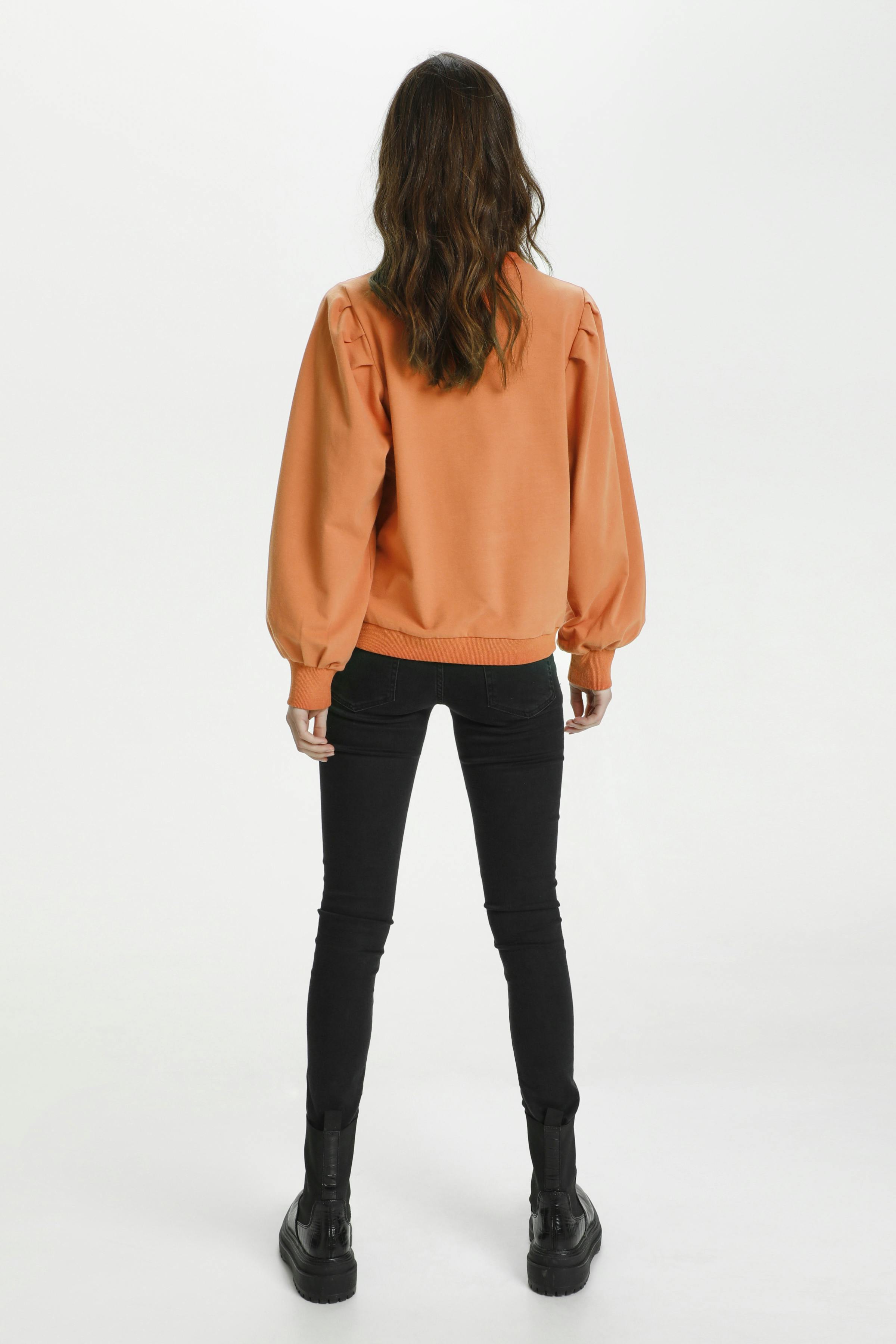 Sweatshirt LOOKBOOK BACK 10103599-171444